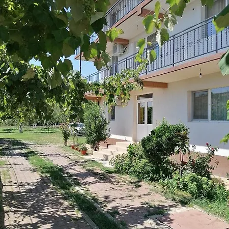 Spring House Apartment *