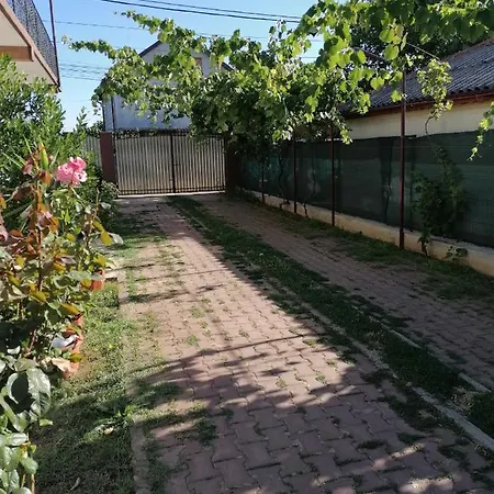 Spring House
