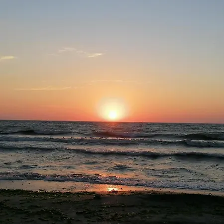 Apartment Spring House Mangalia